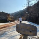 예약이 힘들었던 가평 캠핑장, 호명산 잣나무 캠핑장(aka.호잣캠), 가평 카페 주커피(zoo coffee) 후기