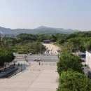 개정청과