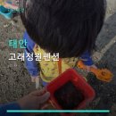 고래별펜션B | 태안 고래정원펜션 객실별 비용 분석