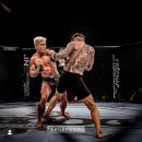 링 종합격투기 이미지