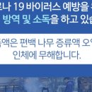 스타칼리 이미지