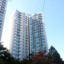 서울신가초등학교 이미지