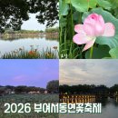 서동화로 | 여름에 가기 좋은 2026 부여서동연꽃축제 당일치기여행으로 추천!