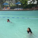 스위밍키즈 태평점 이미지