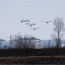 대위리-양지리 이미지