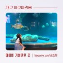 신세계성인오락실 | 대구 아쿠아리움 직접 다녀온 후기 동대구 신세계 아이와 가볼만한곳