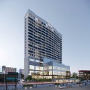 이호텔 | 울산 타니베이호텔 뷔페 디너 후기