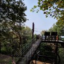 용인자연휴양림 이미지