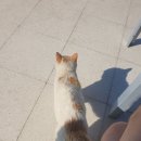거꾸로 쓰는 은의 길 후기_Fisterrea Y Muxia