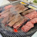 국수나무 달동점 이미지