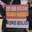 한국베링거인겔하임동물약품(주) 이미지