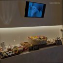 전남반려동물장례식장푸른솔 | 여수반려동물장례식장 전남반려동물장례식장 푸른솔 아름다운 마지막을 위한 공간