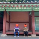 my summer vacation🏖(엄마아빠랑서울나들이,남자친구랑춘천데이트,친구랑속초여행)