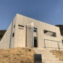 베지아웃 이미지