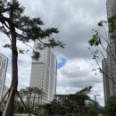 코림트리풀공인중개사사무소 이미지