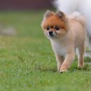 꽁지펜션 이미지