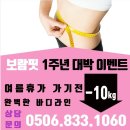 보람핏