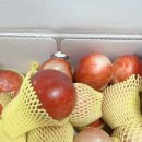 철만농장 이미지