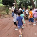 서림공원 유아숲체험원 이미지