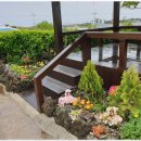 성산민박 이미지