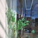 바누얼헤어 | [전주 미용실] - 바누얼헤어에서 스타일 완전 변신했어요!