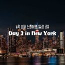 메디슨무역 | 뉴욕 11월신혼여행 4박5일코스 칸쿤경유 | 신행필수코스 맛집 예산 총정리 Day 3