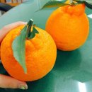 김가네소촌점 이미지