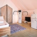 골드펫리조트 이미지