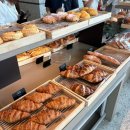 백도 SEA | 고성 속초 중앙시장 주차 꿀팁, 백도SEA펜션, 더 엠브로시아, 장홍김밥 / 1박2일 여행 필수코스