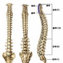 어반필드 문래점 이미지