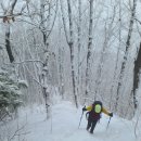 190차 정기산행, 포천 국망봉(1168m) 이미지