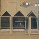 마더스동물병원 네이버블로그