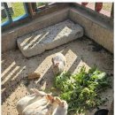 신이펜션 이미지