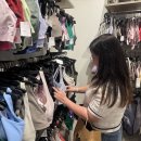 강남고속관광투어 이미지