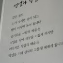 강가에서 이미지