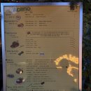 아세 | 성수데이트 맛집 | 아세누 -미슐랭 출신 셰프 파스타 맛집, 성수청첩장모임와인바 솔직 후기