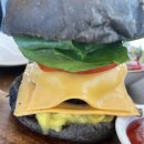 월정온누리약국 이미지