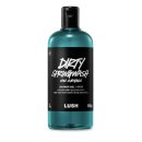 세일화원 | 2026 러쉬 프레쉬 세일 내돈내산 추천템 정리