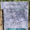 주어사지 이미지