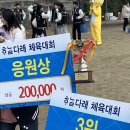 비바라비다 이미지