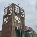 흑송분재원 | 양재꽃시장 주말 영업시간, 주차 | 아이와 함께 방문한 후기