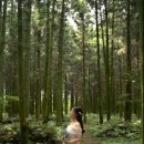 유림-1115 이미지