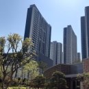 포일근린공원(들락날락) 이미지