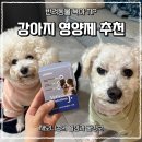 마리J - 양평군 강남로913번길 1 | 강아지 관절 영양제 추천 닥터독 베츠초이스 뉴트리션J 후기 강아지 관절 관리 방법