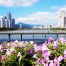 ㈜굿모닝여행사 이미지