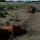 한세계농장 이미지