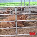 서림축산 이미지