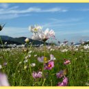 빗물펌프장옆 이미지