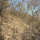 광남자동차공업사 이미지