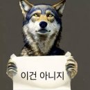 뱅가드안경마트 | 𝖳𝖮𝖪𝖸𝖮에 또 다녀왔어요